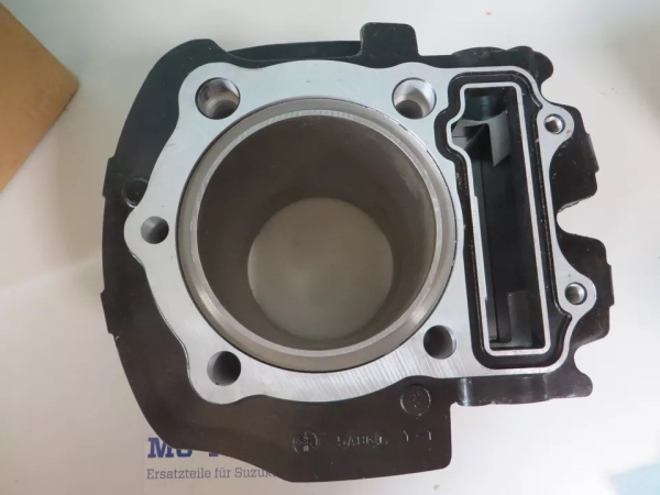 Yamaha Zylinder XV1000 SE XV1000 TR1 cylinder 5A8-11310-01 Original NEU